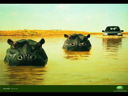 dans la savane